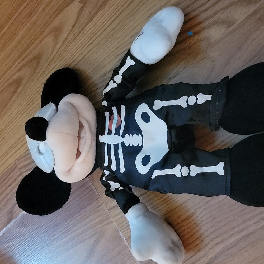 Disney Mickey
